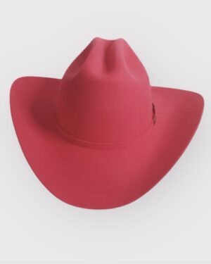 Cowboy wool hat